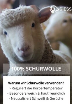 Giesswein Woolpops - Pantofole - Hellgrau Lime -Il Mondo Delle Scarpe 2d289b60c30e4a6094011375cd785718