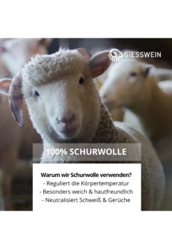 Giesswein Oberstaufen - Pantofole - Berry 13 Giesswein Oberstaufen - Pantofole - Berry -Il Mondo Delle Scarpe 2f4c3fc4c9ab47f4b84d80565cdeb89a